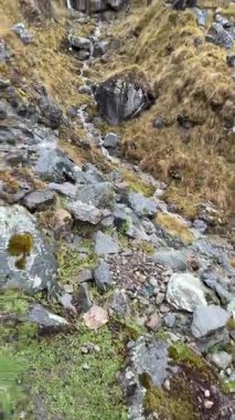 Kayalık yamaçlar ve otlar arasında zorlu bir dağ yolu var. Uzak yürüyüşçüler Peru 'daki engebeli bir arazide gezinirken küçük bir dere taşların üzerine damlıyor. Yüksek kalite 4k görüntü.
