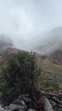 Deniz seviyesinden 4,150 metre yükseklikteki Salkantaypampa bölgesinin karamsar, atmosferik bir görüntüsü. Engebeli And Dağları boyunca yoğun sis sürükleniyor, kısmen kayalık tepeleri gizliyor. Yüksek kalite 4k görüntü