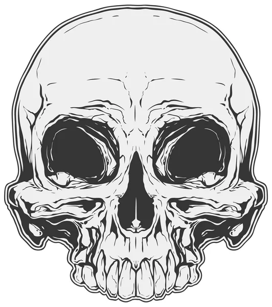 Realistic white and grey human skull tattoo — Stock Vector