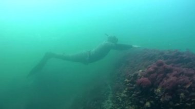 Monofin Freediver enkaz üzerinde yüzüyor.