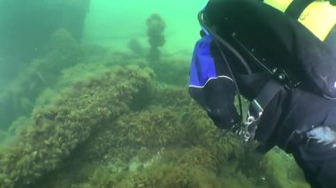 batık gemi üzerinde yüzmek dalgıç