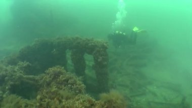 batık gemi üzerinde yüzmek dalgıç