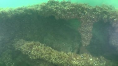 Yüzme batık gemi üzerinde