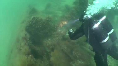 batık gemi üzerinde yüzmek dalgıç