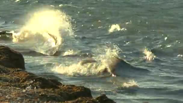 Olas que se estrellan en la costa rocosa — Vídeos de Stock