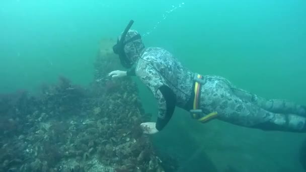 Freediver a monofin úszik át a roncs. — Stock videók