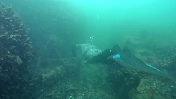 Two freedivers swim over the wreck. — Stock Video