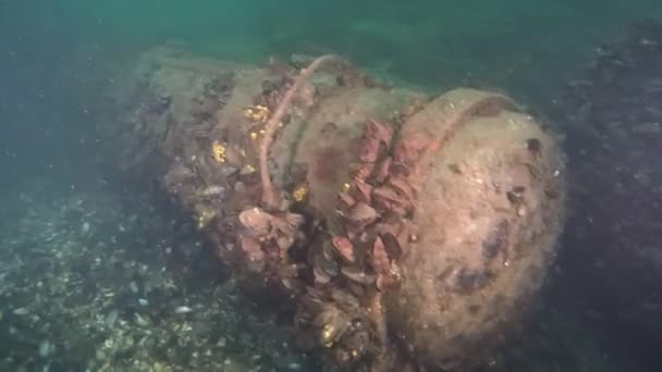 Торпедная труба на затонувшем военном корабле . — стоковое видео