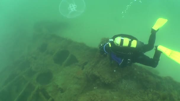 Taucher schwimmt über gesunkenes Schiff — Stockvideo