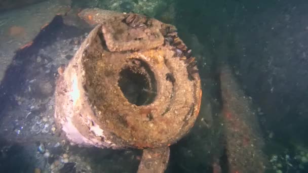 Tiefenladung mit zerstörter Schale. — Stockvideo