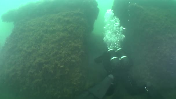 潜水员在沉船游泳 — 图库视频影像