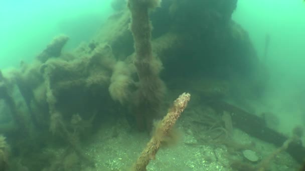 Mouvement parmi les fragments de l'épave .