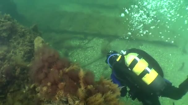 Le plongeur flotte le long du plateau de l'épave . — Video