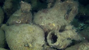 Deniz dibinin üzerinde antik Yunan amphora.