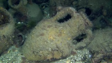 Deniz dibinin üzerinde antik Yunan amphora.