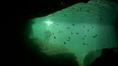 Sualtı manzara: grotto güneş ışınlarının bir perde ile çıkmak
