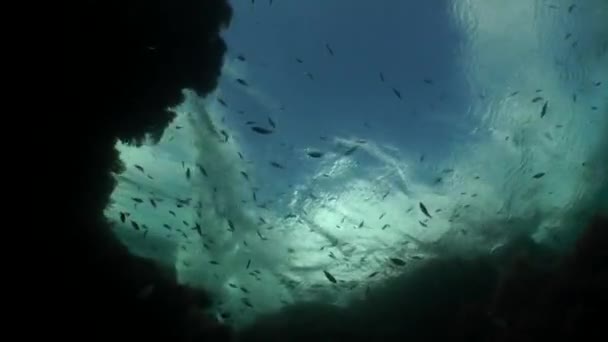 Paisaje submarino: Las olas se lavan sobre las rocas — Vídeo de stock