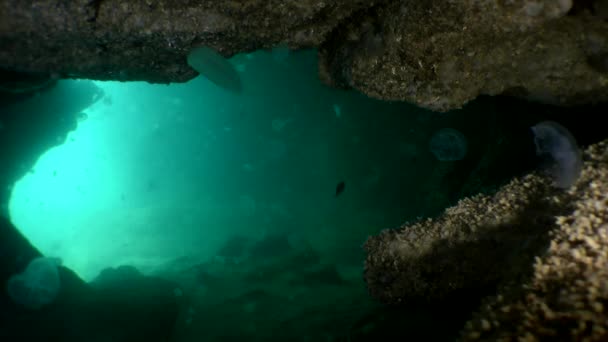 Unterwasserlandschaft: Geisterhaftes Licht auf dem Hintergrundausgang aus der Unterwasserhöhle — Stockvideo