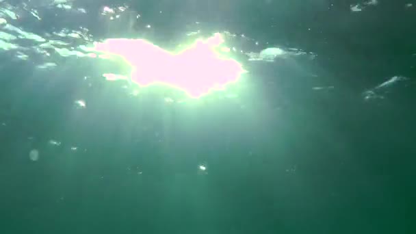 Paisaje submarino: Mover los rayos del sol a través de la superficie del mar — Vídeos de Stock