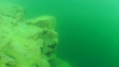 Sualtı manzara: Granit kayalar kadar yüzme.