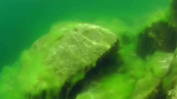 Piedras que yacen en aguas poco profundas . — Vídeos de Stock