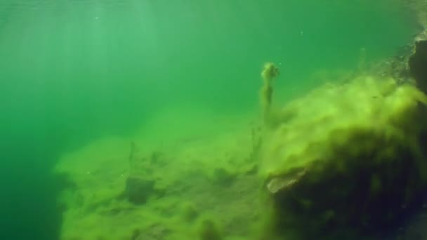 Pierres couchées en eau peu profonde . — Video