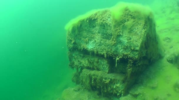 Paisaje submarino: Nadar hasta rocas de granito — Vídeo de stock