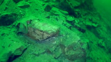 Sualtı manzara: Granit kaya üzerinde yüzmek