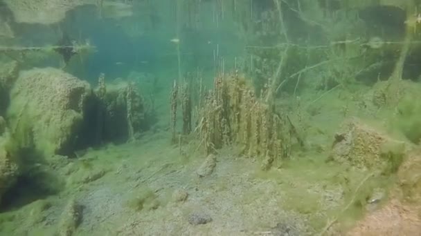 Underwater landscape: swim over a shallow freshwater pond — Stock Video