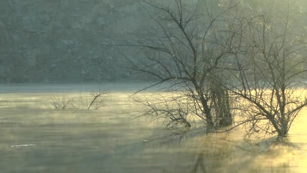 Le brouillard se glisse sur l'eau . — Video