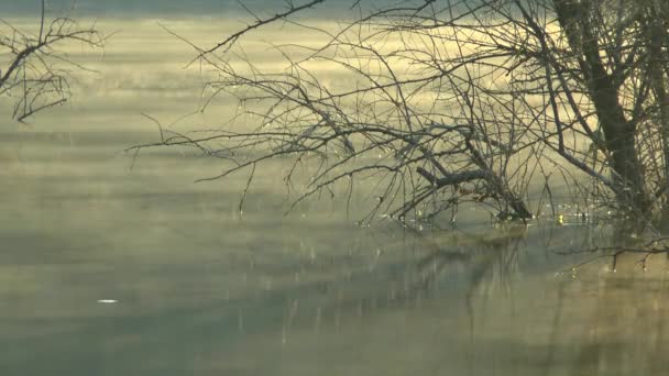 O nevoeiro rasteja sobre a água . — Vídeo de Stock