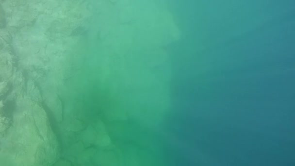 Υποβρύχιο τοπίο: οι ακτίνες του ήλιου στη στήλη του νερού — Αρχείο Βίντεο