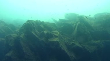 Kayaların üzerinden yüzmek.