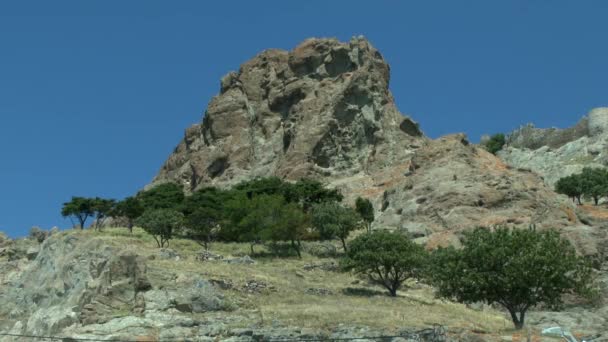 Paisaje con pintorescas rocas y árboles . — Vídeos de Stock