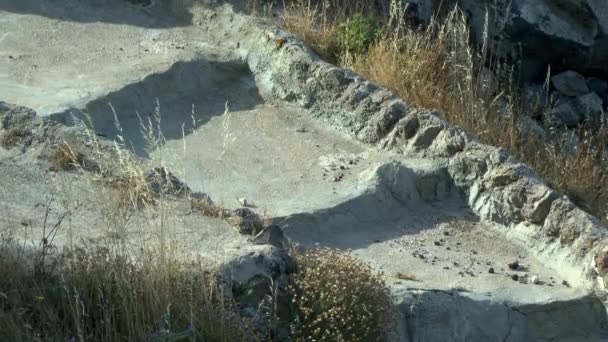 System für Einzugsgebiet Regenwasser und Morgentau . — Stockvideo