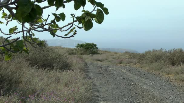 Country road on the slope of the volcanic Greek island. — Stock Video