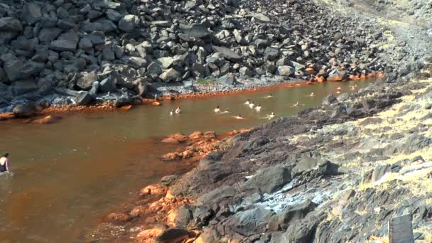 Los turistas se bañan en las aguas termales volcánicas . — Vídeo de stock