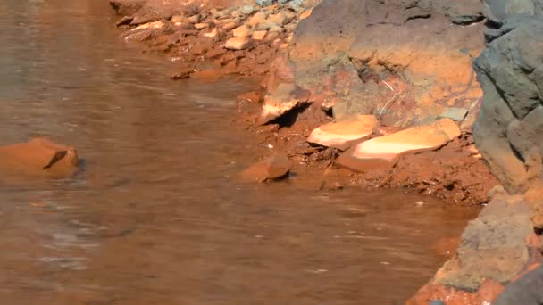 Pedras costeiras são cobertas com óxidos de ferro . — Vídeo de Stock