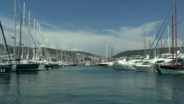 Een groot aantal jachten in de haven. — Stockvideo