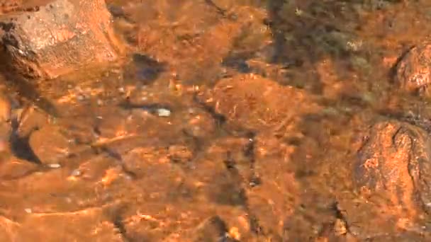 Παράκτια πέτρες καλύπτονται με οξείδια του σιδήρου. — Αρχείο Βίντεο