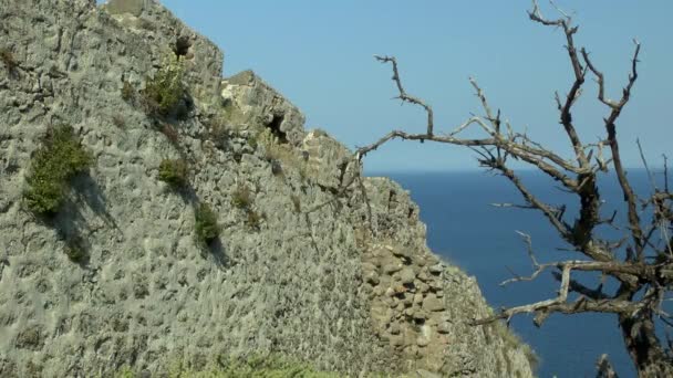 Paisaje con un árbol muerto y una muralla fortificada . — Vídeos de Stock