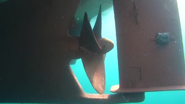 De schroef en de besturing van het schip, onder water. — Stockvideo