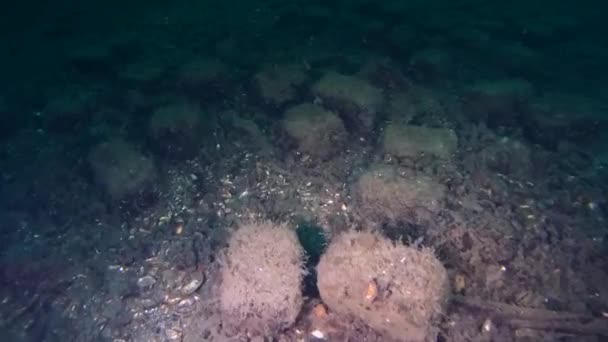 Briquettes de charbon pour une machine à vapeur sur le fond marin .