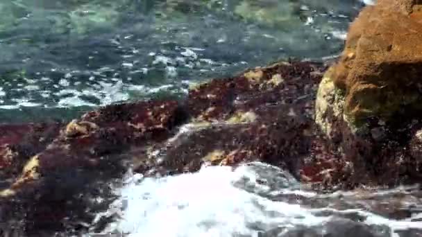 海浪拍打岩石的角上 — 图库视频影像