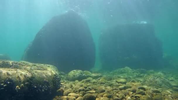 Bajo el agua en un fondo marino poco profundo — Vídeo de stock