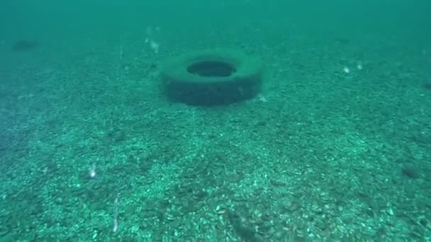 Neumático de coche en el fondo del mar — Vídeo de stock