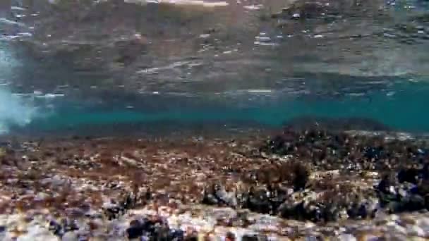 Vlny zřítilo z pod vodou — Stock video