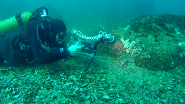 Unterwasser-Videofilmer filmt Fische, die den Spiegel angreifen. — Stockvideo