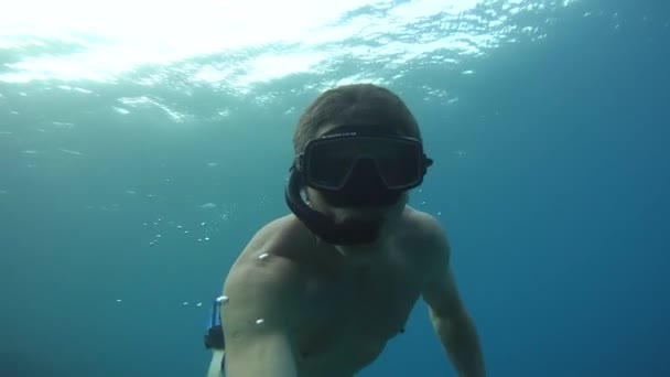 Su sütununda Freediver yüzüyor — Stok video