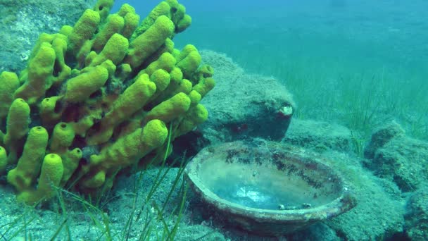 Antique plat en céramique sur le fond des paysages sous-marins . — Video